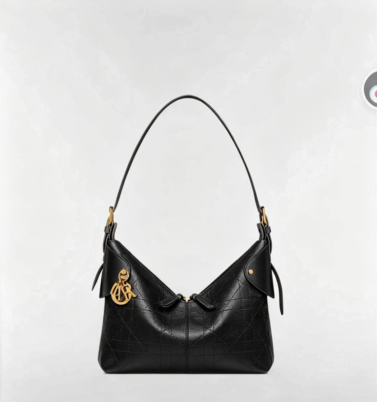 (DUPE) Dior Bag